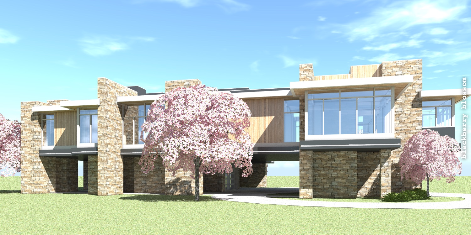 Blackberry Blossom Large Elevated Modern Home With 2 Elevators By Tyree House Plans 