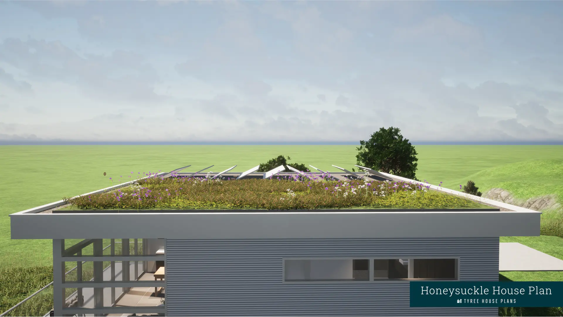 Rooftop - Honeysuckle House Plan
