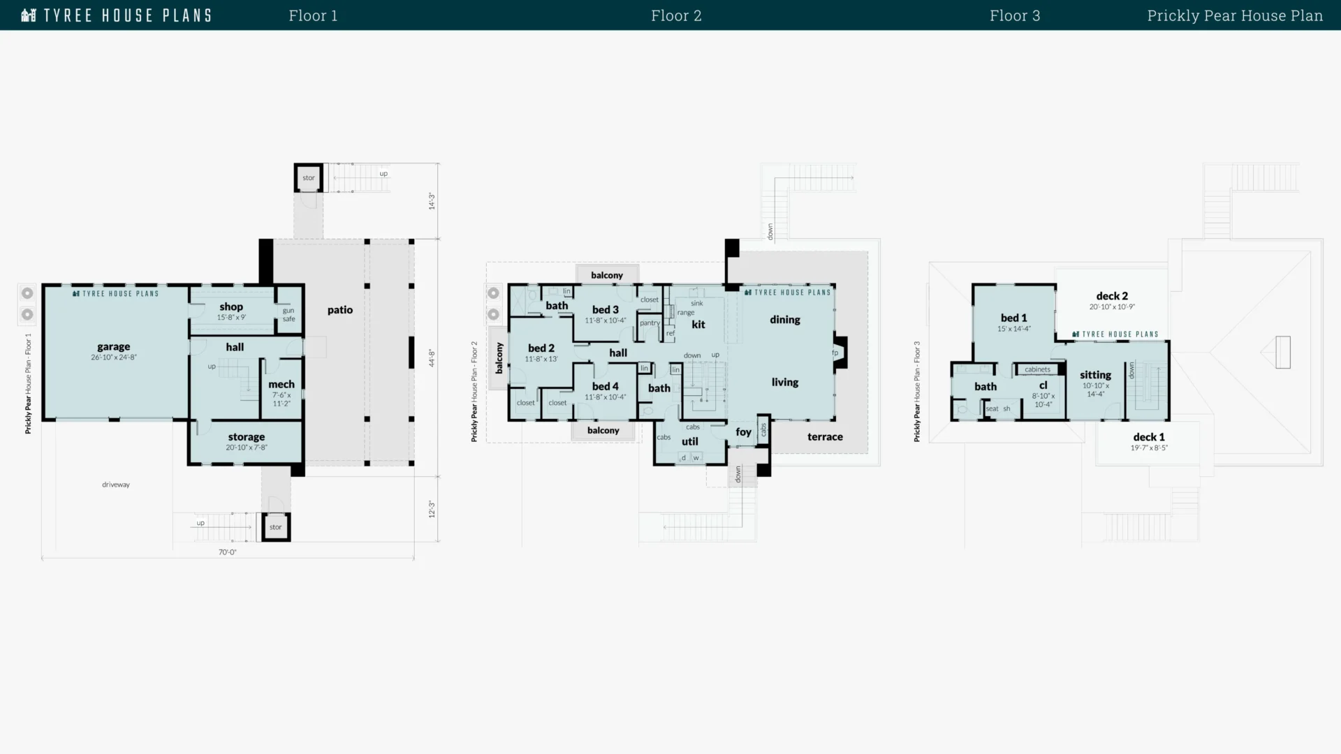 Prickly Pear House Plan Floor Artwork by Tyree House Plans